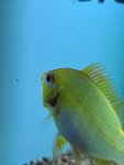 20201127_191735.jpg
