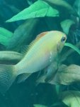 20201128_173132.jpg