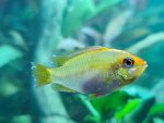 20201128_181104.jpg