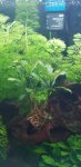 20201130_163418.jpg 20201130_163418.jpg
