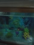 IMG_20201229_200637_677.jpg