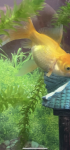 4148D1AC-8D40-470D-B758-B07BF115FFE6.png